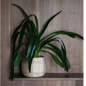 Flowerpot Saio (2 sizes)