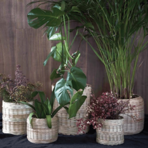 Flowerpots Cover Augustine (3 sizes)